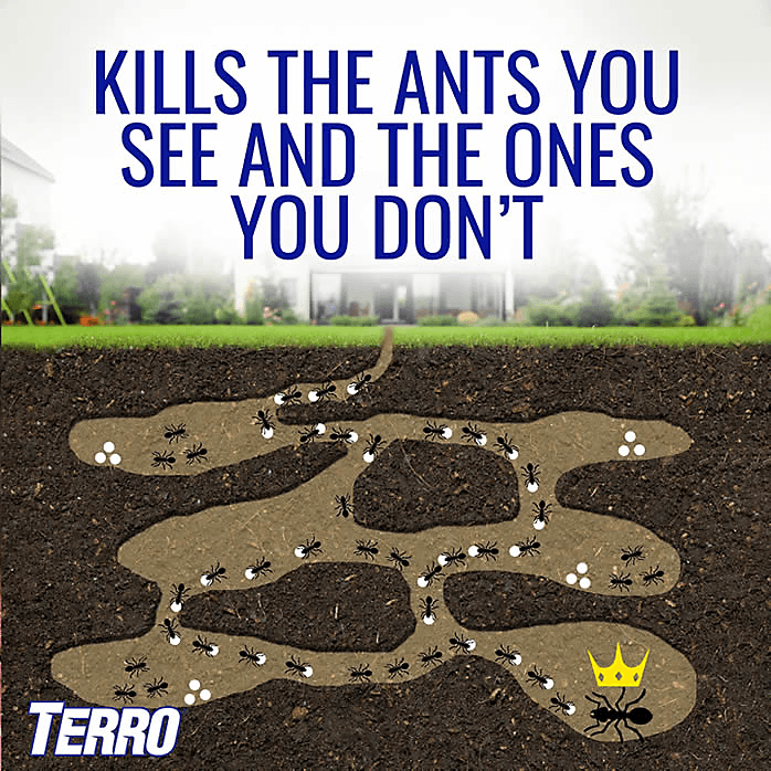 Terro Ant Baits Kill the Ants you see and the ones you don't!